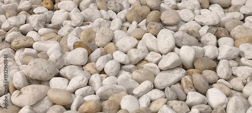 The white rock surface of the stone the background is rocky and full of rocks.