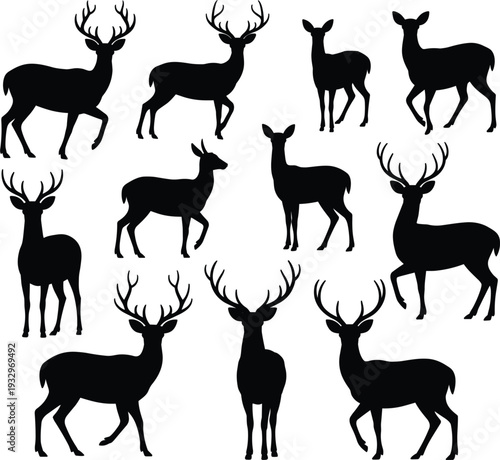 Collection of black silhouettes of deer with antlers on a white background Keywords: deer, silhouette, antlers, stag, buck