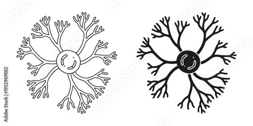 Comparison of two different neuron cell structures with prominent dendrites and axons