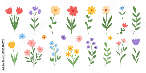 A vector set of spring and summer hand-drawn flowers.Floral decorations, botanical elements, leaves and herbs, garden flowers, tulips, wildflowers are ideal for March 8, Mother's Day, and Happy Easter
