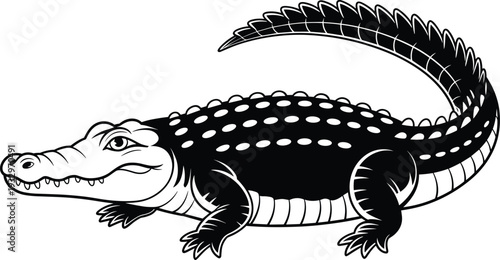 Desert landscape silhouettes with rocky formations, cacti, agave plants, and barren trees for wilderness, outdoor, nature, and design themes