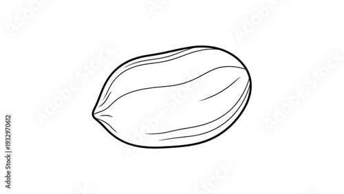 Simple black and white line art illustration of a single unshelled peanut, capturing its distinct oval shape and textured shell details with clean, bold outlines.
