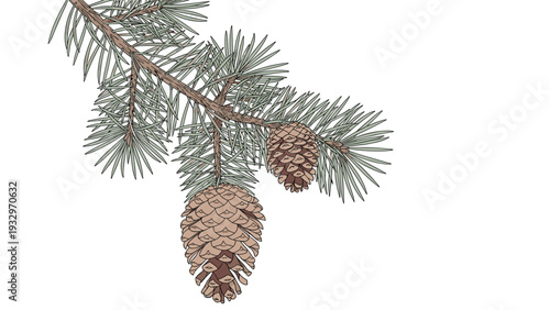 Detailed illustration of a realistic pine tree branch adorned with two mature pine cones and vibrant green needles, showcasing natural forest beauty.