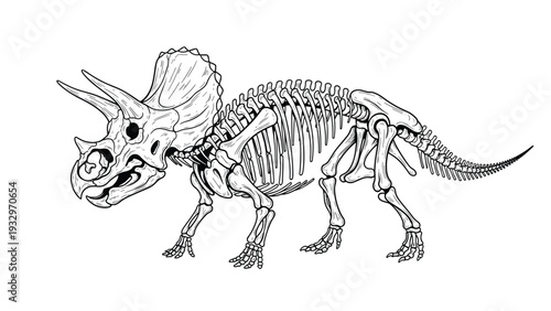 Highly detailed black and white line art illustration of a complete Triceratops dinosaur skeleton, showcasing intricate bone structure and prehistoric anatomy.