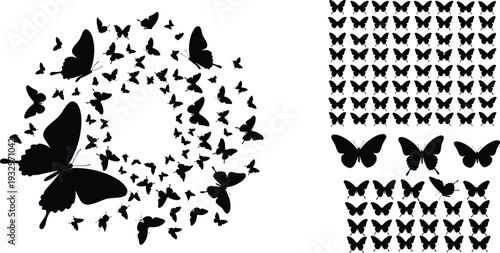 Butterfly silhouette icon set with flying butterflies, decorative swarm circle, isolated insect shapes, nature design elements and vector illustration concept