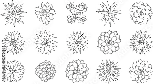 Hand drawn floral mandala collection, black and white outline flowers, decorative botanical elements, geometric petals, coloring book style vector illustration