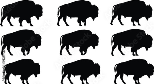 Bison silhouette set, American buffalo vector icons, wild animal profile collection, majestic prairie wildlife silhouettes, isolated black bull figures, nature graphics.