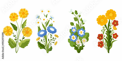 A colorful collection of illustrated wildflowers and botanical arrangements