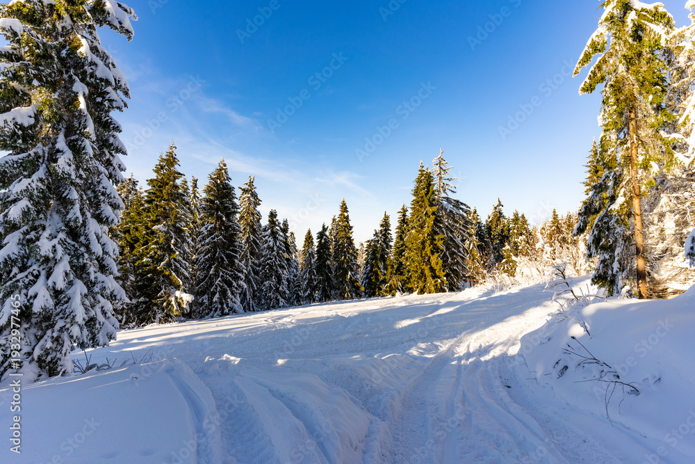 Obraz premium Łapsowa Polana winter ski trail, Gorce Mountains, Poland 