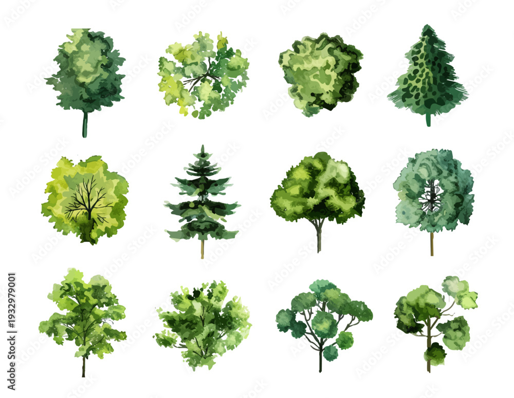 Fototapeta premium Collection of Watercolor Trees and Conifers Viewed From Above Isolated on White Background Stock Illustration