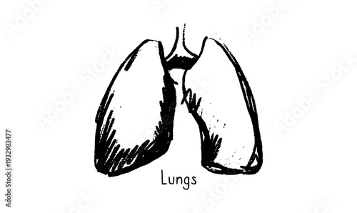 Lungs Sketch Poster