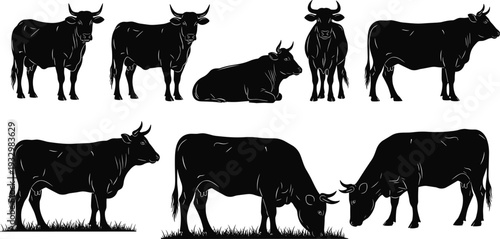 Cow silhouette set, cattle bull vector icons, farm animal profile collection, grazing livestock silhouettes, isolated black heifer figures, agriculture graphics,