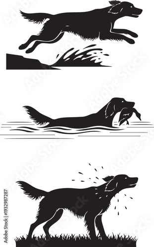 Setter dog silhouettes showing dynamic actions like jumping into water, swimming with a duck, and shaking off water