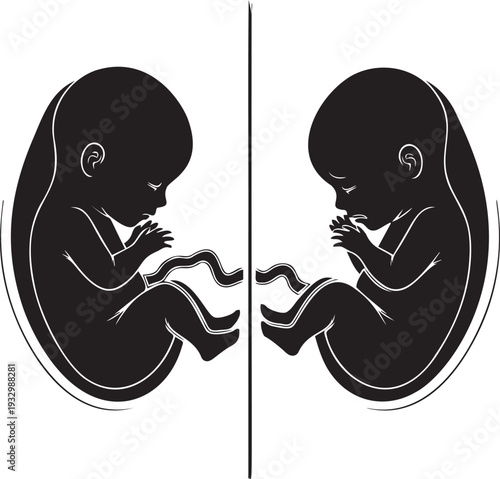 Black silhouette of two human fetuses vector illustration, unborn babies in womb, prenatal development