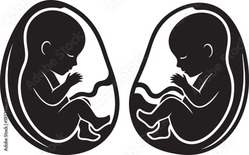 Two baby embryos inside fluid sacs connected by umbilical cords, a symbol of twin pregnancy