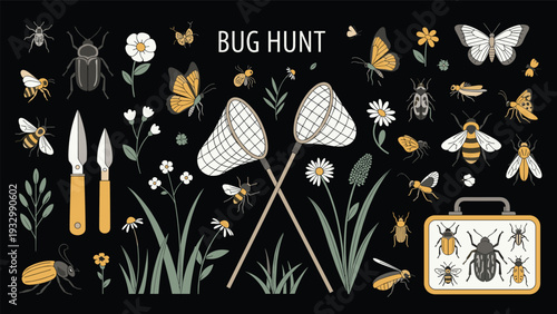 Comprehensive collection of bug hunt illustrations including various insects butterflies flowers nets and a collection box.