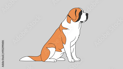 Saint bernard dog illustration sitting and looking away shown from a side profile view on a neutral gray background.