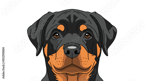 Powerful portrait of a rottweiler dog showing its black and tan markings and alert expression in a vector drawing.