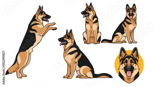Collection of german shepherd dog illustrations showing the breed in various poses like standing, sitting, and jumping.