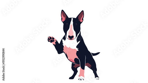 Bull terrier dog standing and waving its front paw with a happy expression in a stylized colorful vector illustration.