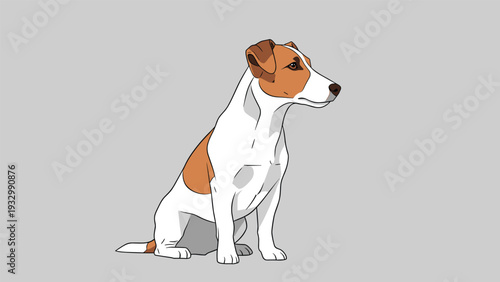 Alert jack russell terrier dog sitting patiently on a grey background in a clean and modern vector illustration.