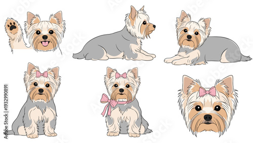 Collection of cute yorkshire terrier dog illustrations showing various poses like lying down, sitting, and waving.