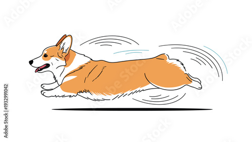 Energetic illustration of a pembroke welsh corgi dog running at full speed with motion lines indicating its fast movement on a white background.