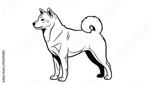 Stylized bold line art of an akita or shiba inu dog standing in a proud and confident posture on a clean white background for design.
