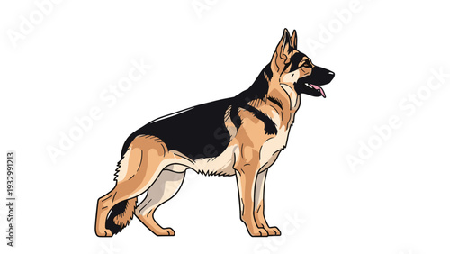 Majestic German Shepherd dog standing in profile with its tongue out showing its classic black and tan coat on a white background.