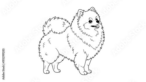 Detailed line art drawing of a fluffy Pomeranian dog standing in profile perfect for animal coloring books or creative projects.