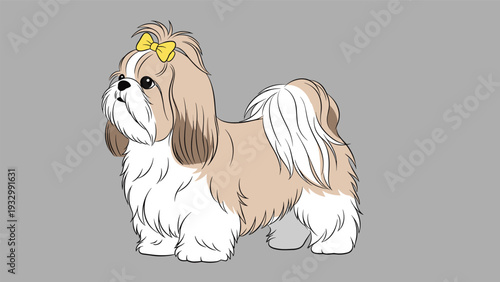 Fluffy Shih Tzu dog with long tan and white fur and a yellow bow on its head standing gracefully on a neutral grey background.