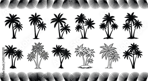 Tropical palm tree silhouette and line art collection featuring various coconut trees, exotic beach plant species, and decorative palm leaf patterns isolated on white.