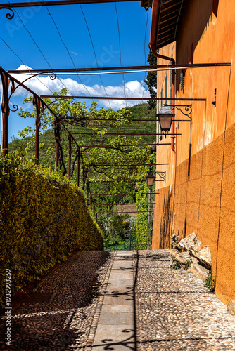 stone path with a hedge on the left and colorful house walls on the right, with a berceau above, against a backdrop of a blue sky with white clouds