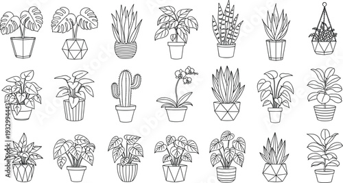 Modern indoor houseplant line art collection featuring potted monstera, snake plants, cacti, orchids, hanging plants, and various tropical foliage in geometric planters.