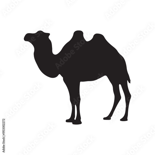 Camel Silhouette Vector Illustration Desert Animal Design.