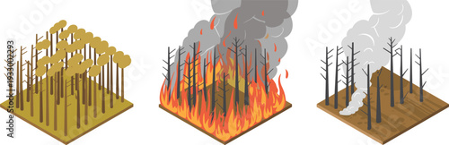 Isometric forest fire stages showing healthy woodland, active wildfire flames and burned deforested landscape environmental disaster illustration