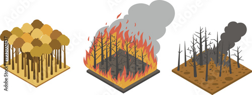 Isometric forest wildfire sequence with healthy trees, raging fire flames and burned barren land environmental disaster illustration