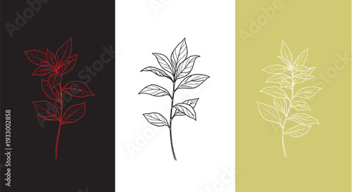 Tripartite floral illustration with color variations