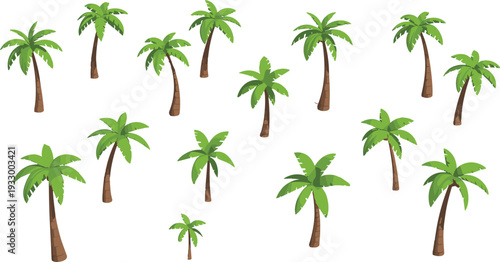 Isometric palm tree set with tropical coconut trees and shadows, summer beach landscape elements vector illustration collection