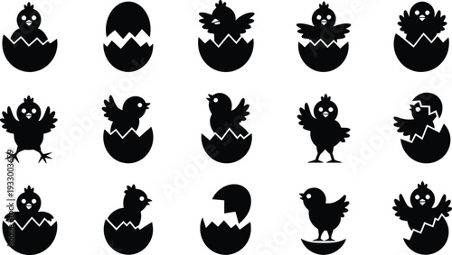 Black silhouettes of chickens hatching from eggs in various stages