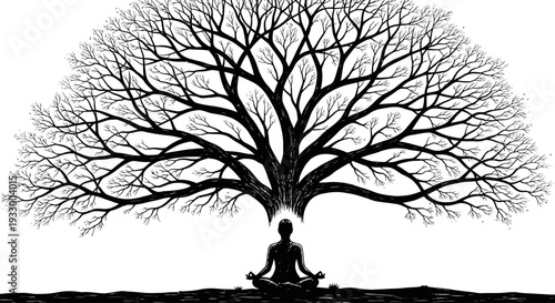 Meditating person beneath a large detailed tree silhouette