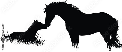 Black silhouette of a mother horse and foal nuzzling in a grassy field, isolated on white background, equine maternal love concept.