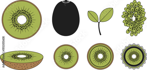Fresh Kiwi Fruit and Slices Vector Illustration Set with Detailed Half Kiwi Silhouette Leaves and Decorative Tropical Fruit Badge Icons