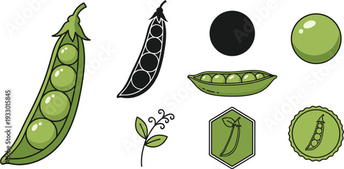 Green Peas and Botanical Vector Illustration Set with Fresh Pea Pods Organic Garden Seeds and Green Leafy Plant Elements