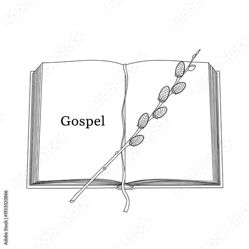 Contour art. An open book (the Gospel). A single blossoming pussy willow branch lies on the pages. Thin black lines, minimalism.