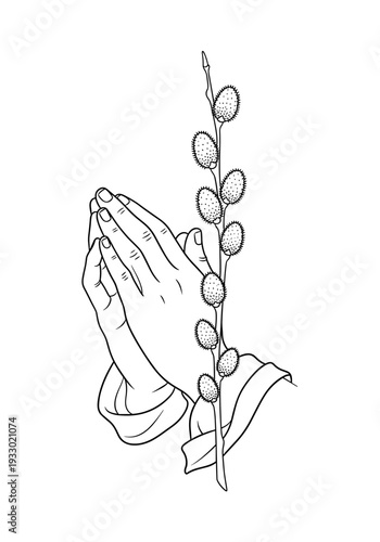 An outline icon. Two hands folded in prayer. A blossoming pussy willow branch hangs vertically between them. Fine line art on a transparent background.