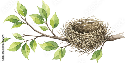 Bird s nest on a branch with green leaves natural habitat scene
