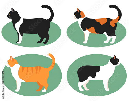 Domestic Cat Breed Set Flat Vector Illustration