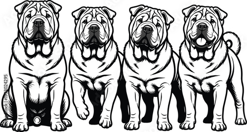 Black and white vector illustration of four Shar Pei dogs with wrinkled skin, curled tails, playful expressions, detailed breed features, standing together