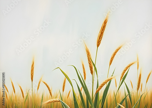 wheat, ears, grain, cereal, harvest, agriculture, farming, field, rural, countryside, nature, crop, plant, golden, yellow, brown, oilpainting, artwork, art, canvas, texture, brushstroke, fineart, clas